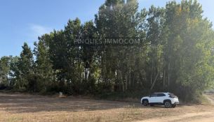 TERRENY RÚSTIC A LA VENTA A LLAGOSTERA 